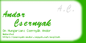 andor csernyak business card